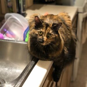 Meet your Posher, Danielle